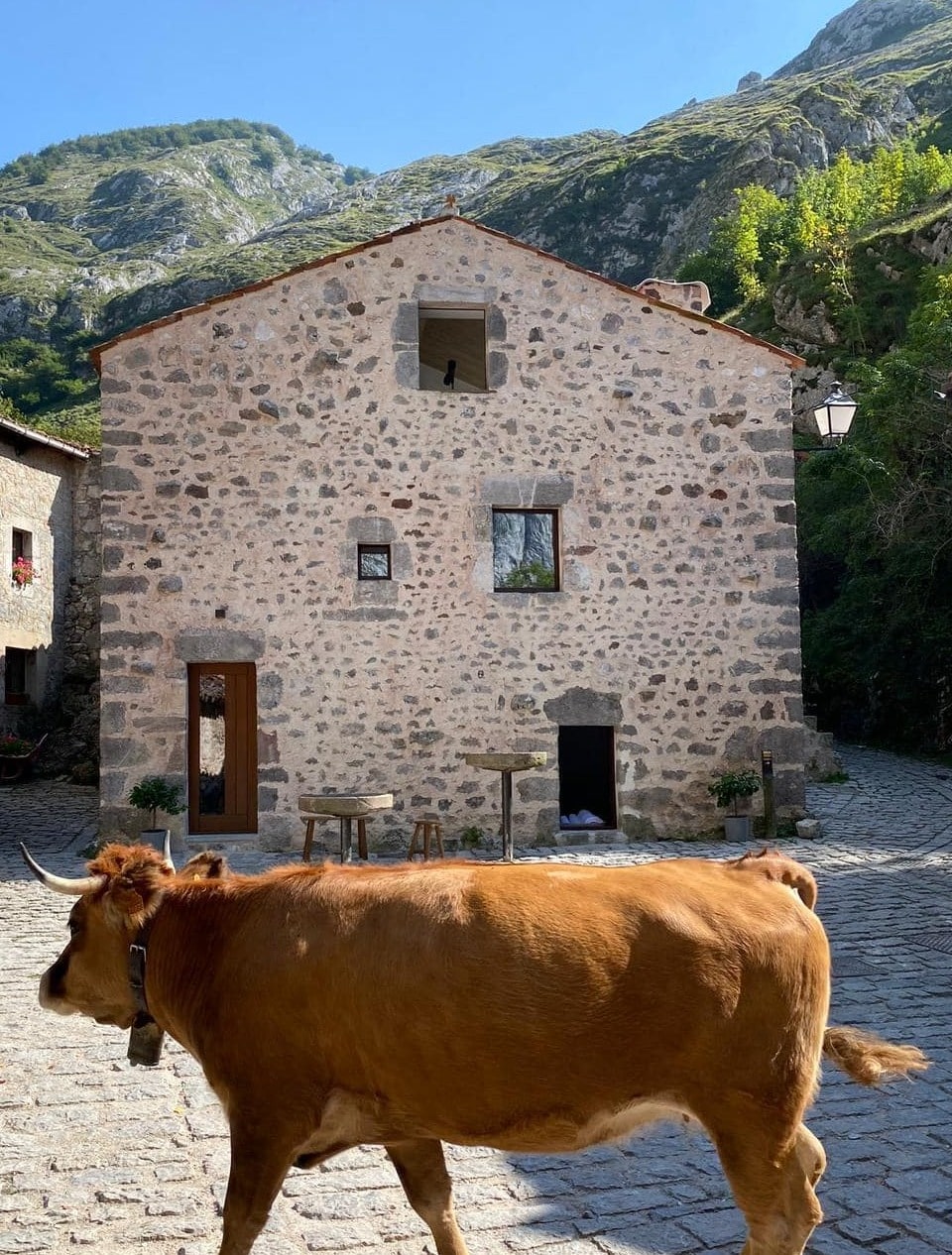 Casa rural Aldea de Bulnes